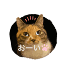 もがっちもこっち（個別スタンプ：2）
