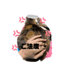 もがっちもこっち（個別スタンプ：3）