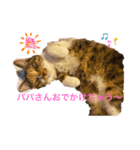 もがっちもこっち（個別スタンプ：4）