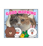 もがっちもこっち（個別スタンプ：6）