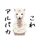 可愛いとは、何ぞや研究会①（個別スタンプ：25）