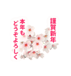 新年×花×蝶（個別スタンプ：5）