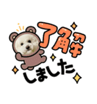 ビションわらび V5（個別スタンプ：3）