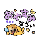 柴犬らむるんฅ´•ᴥ•`ฅ（個別スタンプ：3）