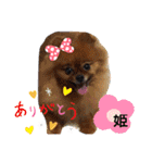 我が家の家族達(^○^)（個別スタンプ：3）