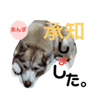 我が家の家族達(^○^)（個別スタンプ：4）