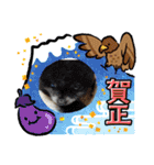 我が家の家族達(^○^)（個別スタンプ：11）