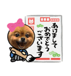 我が家の家族達(^○^)（個別スタンプ：13）
