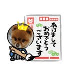 我が家の家族達(^○^)（個別スタンプ：17）