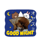 我が家の家族達(^○^)（個別スタンプ：19）
