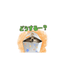 ポメとボーダーと時々猫（個別スタンプ：16）