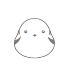 小鳥3羽（個別スタンプ：2）