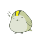 小鳥3羽（個別スタンプ：9）
