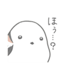 小鳥3羽（個別スタンプ：11）