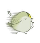 小鳥3羽（個別スタンプ：19）