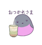 小鳥3羽（個別スタンプ：23）