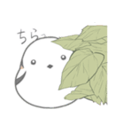小鳥3羽（個別スタンプ：30）