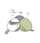小鳥3羽（個別スタンプ：40）