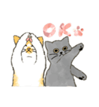 うちの5匹（個別スタンプ：1）