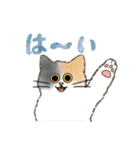 うちの5匹（個別スタンプ：3）