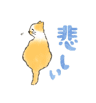 うちの5匹（個別スタンプ：5）
