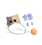 うちの5匹（個別スタンプ：7）