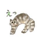 うちの5匹（個別スタンプ：11）