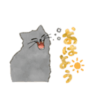 うちの5匹（個別スタンプ：12）