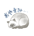 うちの5匹（個別スタンプ：13）