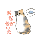 うちの5匹（個別スタンプ：14）