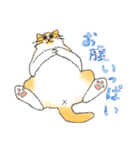 うちの5匹（個別スタンプ：15）