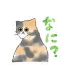 うちの5匹（個別スタンプ：16）