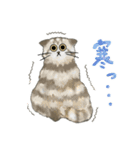 うちの5匹（個別スタンプ：19）