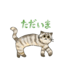 うちの5匹（個別スタンプ：29）