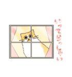 うちの5匹（個別スタンプ：30）