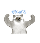 うちの5匹（個別スタンプ：31）
