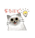 うちの5匹（個別スタンプ：33）