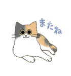 うちの5匹（個別スタンプ：34）