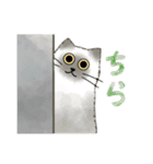 うちの5匹（個別スタンプ：38）