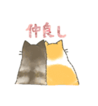 うちの5匹（個別スタンプ：39）