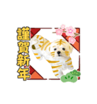 虎マルチーズ！で新年のご挨拶♪（個別スタンプ：4）