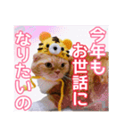 きなことあんこ7（個別スタンプ：3）