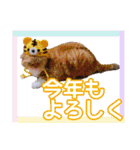 きなことあんこ7（個別スタンプ：7）