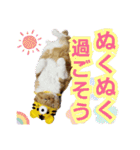 きなことあんこ7（個別スタンプ：10）