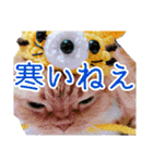 きなことあんこ7（個別スタンプ：13）