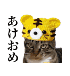 きなことあんこ7（個別スタンプ：14）
