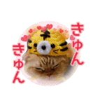きなことあんこ7（個別スタンプ：16）