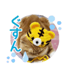 きなことあんこ7（個別スタンプ：17）