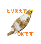 きなことあんこ7（個別スタンプ：19）