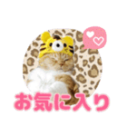 きなことあんこ7（個別スタンプ：21）